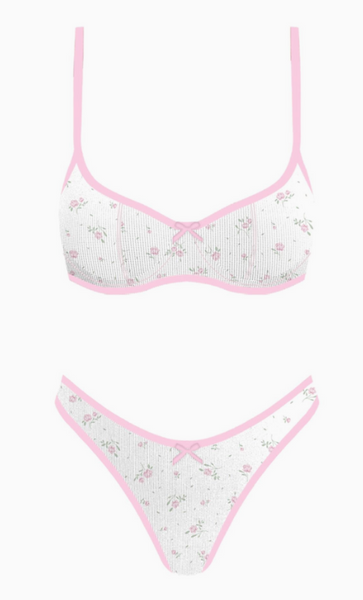 Seaside Picnic Bikini Set